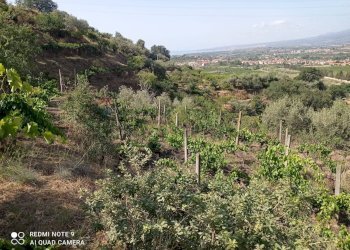 Vista delle montagne - Terreno agricolo via fondaco d'accorso
-, Taormina - foto 10