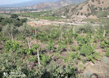 Vista delle montagne - Terreno agricolo via fondaco d'accorso
-, Taormina - foto 11