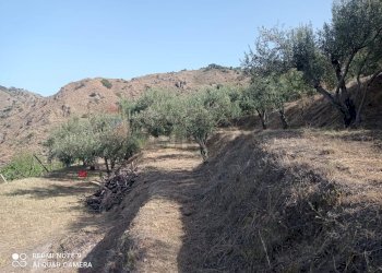 Vista delle montagne - Terreno agricolo via fondaco d'accorso
-, Taormina - foto 12