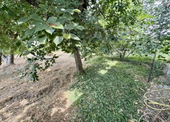 Giardino - Villa Cascina Montericco
 
2163, Mortara - foto 35