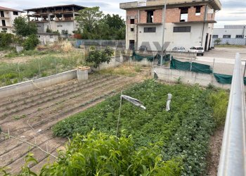 Casa all\'aperto - Appartamento L.p. San Donato, Campania, Apice - foto 38
