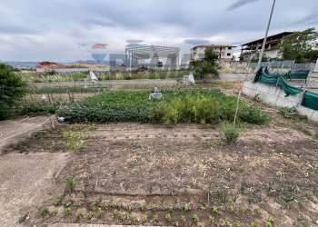 Giardino - Appartamento L.p. San Donato, Campania, Apice - foto 39