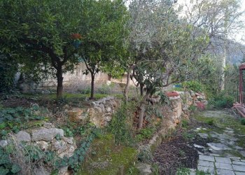 Giardino - Villa VIA LIBANO
 
22, Carini - foto 12