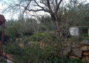 Giardino - Villa VIA LIBANO
 
22, Carini - foto 33