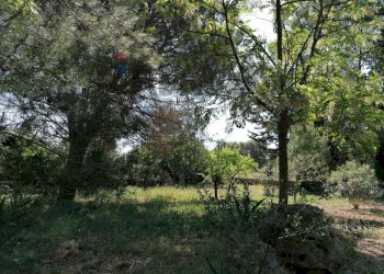 Giardino - Villa Contrada Poggioreale
 
snc, San Vito dei Normanni - foto 8