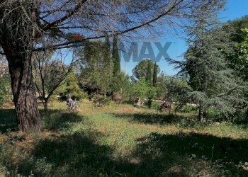 Giardino - Villa Contrada Poggioreale
 
snc, San Vito dei Normanni - foto 9