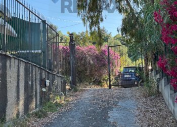 Giardino - Villa contrada Milianni
 
snc, Tusa - foto 22