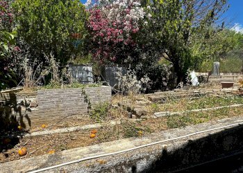 Giardino - Villa Contrada Piano Piraino
 
snc, San Cipirello - foto 15