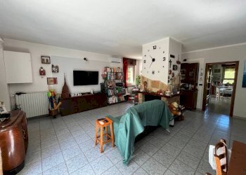 Salone - Shop strada Montaldo, 7, Sciolze - photo 4