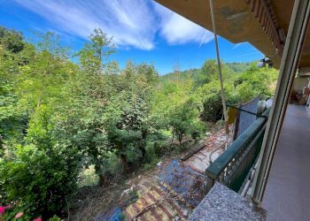Vista - Shop strada Montaldo, 7, Sciolze - photo 9