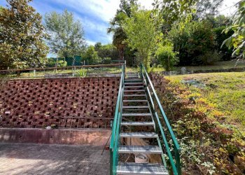 Giardino - Shop strada Montaldo, 7, Sciolze - photo 30