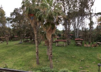 Giardino - Bilocale via ginepri
 
2, Lamezia Terme - foto 10