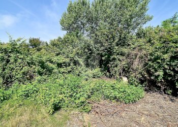Foto 12 - Terreno agricolo Via Cascina Pizzabrasa, Pieve Emanuele - foto 12
