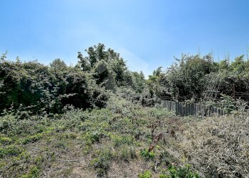 Foto 18 - Terreno agricolo Via Cascina Pizzabrasa, Pieve Emanuele - foto 18