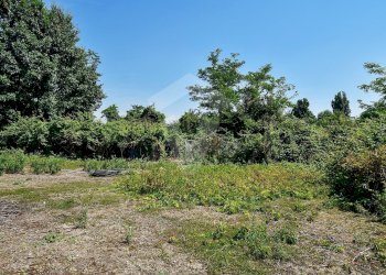 Foto 19 - Terreno agricolo Via Cascina Pizzabrasa, Pieve Emanuele - foto 19