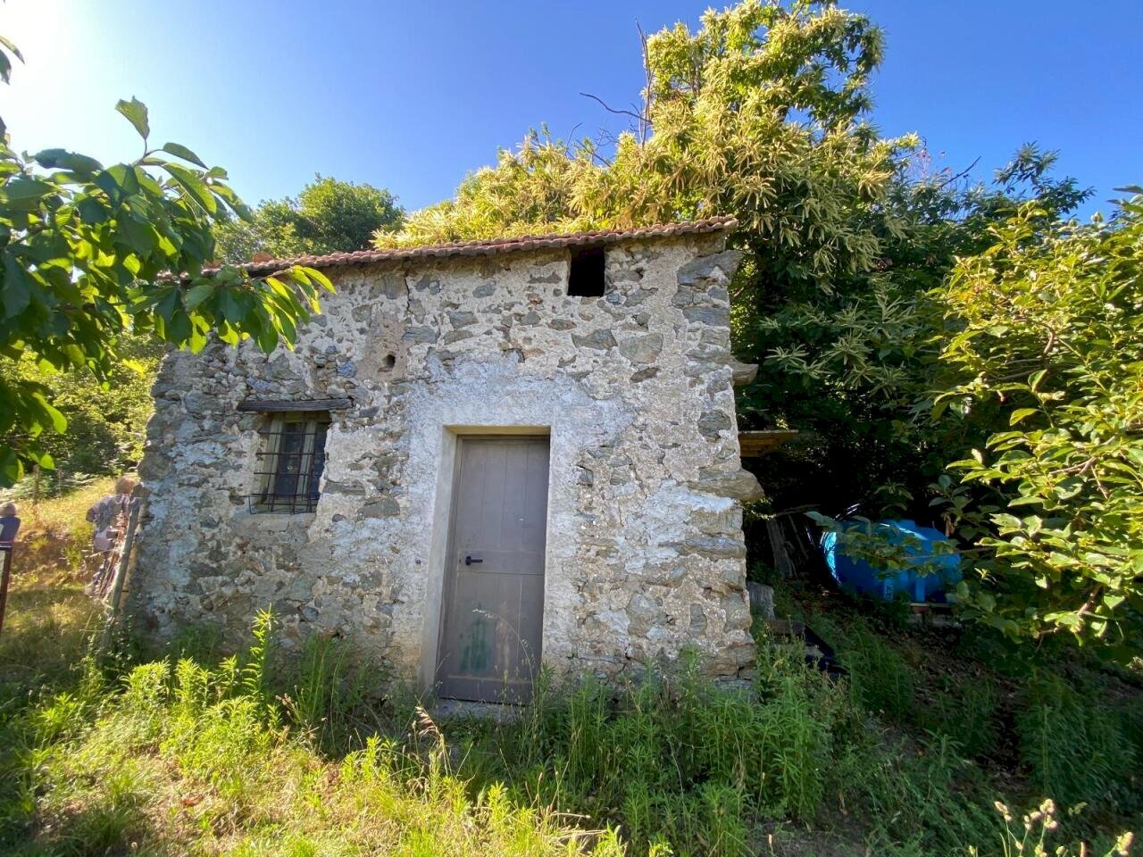 WhatsApp Image 2026-06-18 at 15.41.12 (4) - Terreno agricolo Via Villanova 2, Quiliano - foto 2