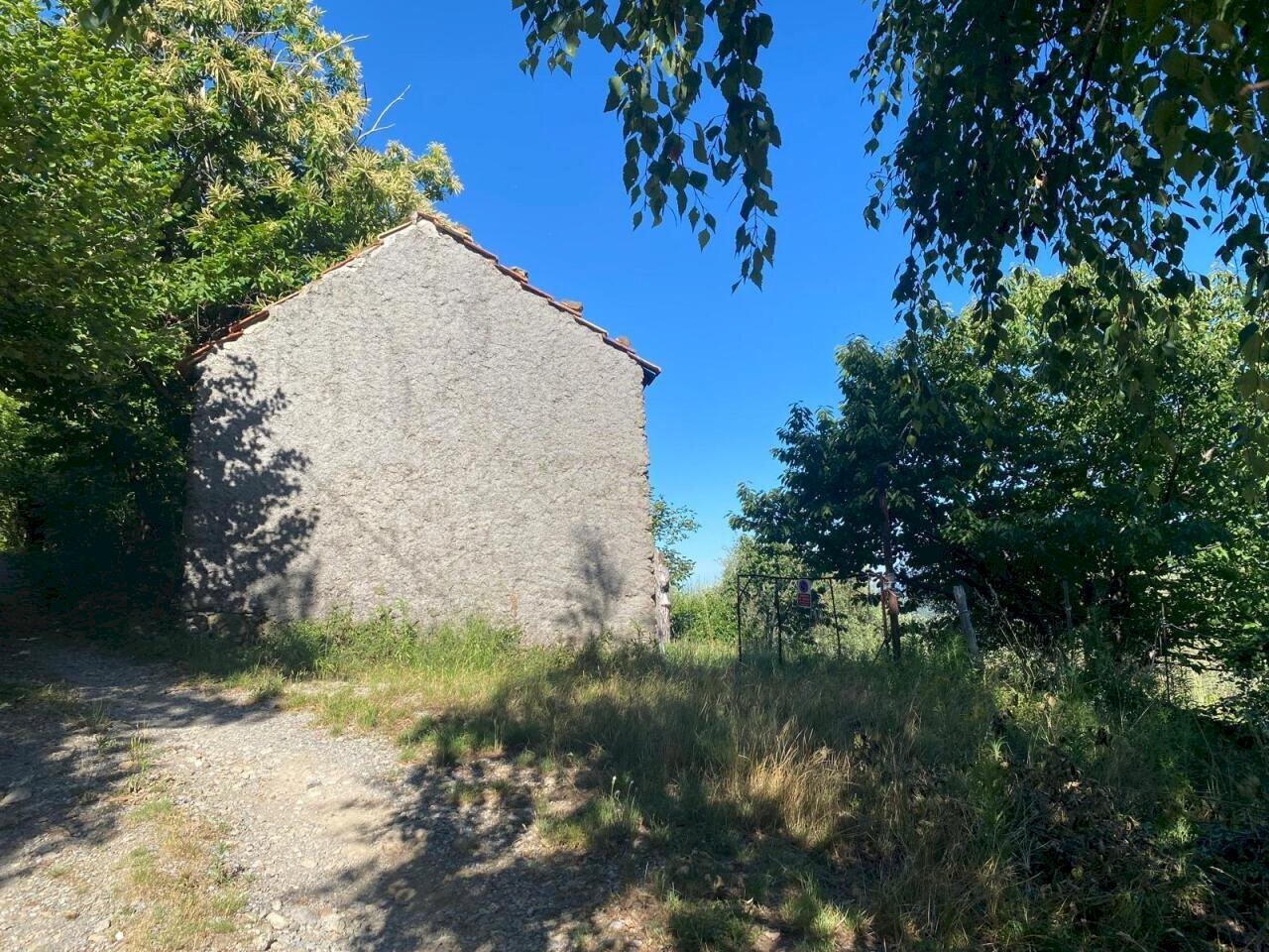 WhatsApp Image 2026-06-18 at 15.40.49 (2) - Terreno agricolo Via Villanova 2, Quiliano - foto 3