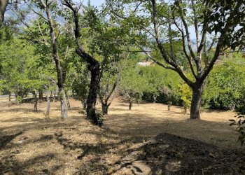 IMG_20260717_110516 - Villa Via Peligna 27, Gessopalena - photo 2