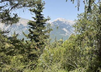 IMG_6101 - Villa Via Peligna 27, Gessopalena - photo 19
