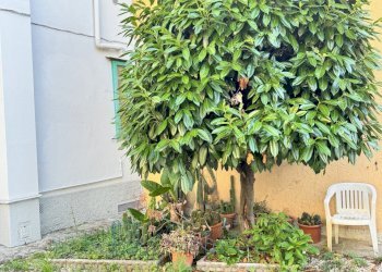 IMG_2831 - Independent house Via Giulio Braga 14, Vaiano - photo 16