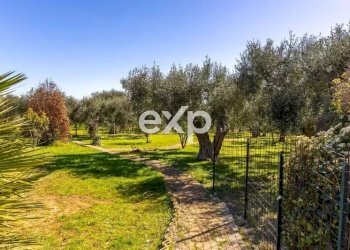 Villa San Giovanni Rotondo Matine - SP45bis Km 8 Quadrone dir.SGR, San Giovanni Rotondo - foto 32