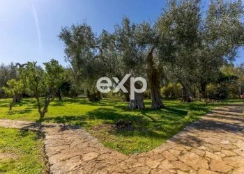 Villa San Giovanni Rotondo Matine - SP45bis Km 8 Quadrone dir.SGR, San Giovanni Rotondo - foto 49