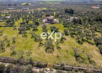 Villa San Giovanni Rotondo Matine - SP45bis Km 8 Quadrone dir.SGR, San Giovanni Rotondo - foto 57