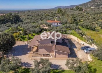 Villa San Giovanni Rotondo Matine - SP45bis Km 8 Quadrone dir.SGR, San Giovanni Rotondo - foto 62