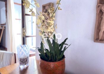 Historic Residence Via Giosuè Carducci, Castagneto Carducci - photo 21