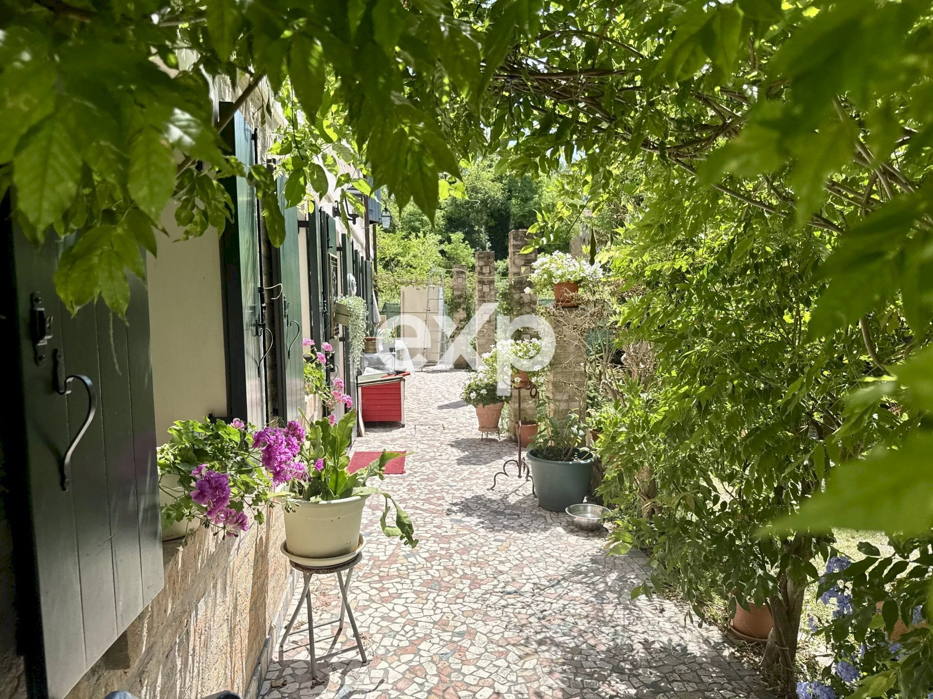Casale Zenson di Piave - foto 3