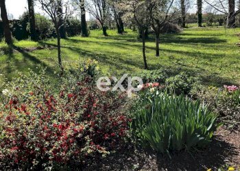 Casale Zenson di Piave - foto 30