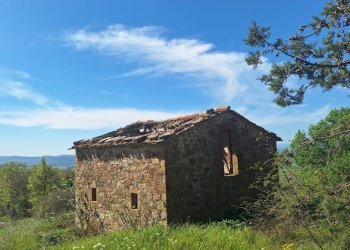 Rustico STRADA PROVINCIALE CROCINA, Roccalbegna - foto 65