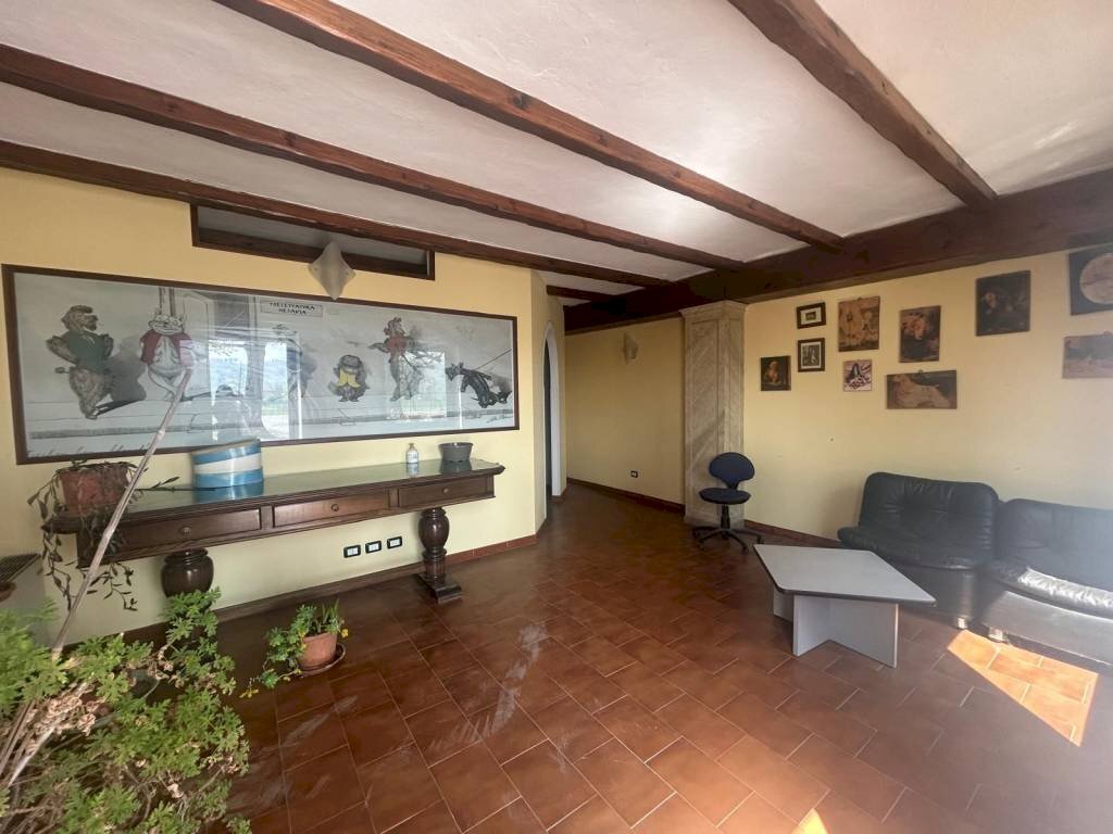 Negozio strada Provinciale Mondovì-Villanova, Mondovì - foto 3