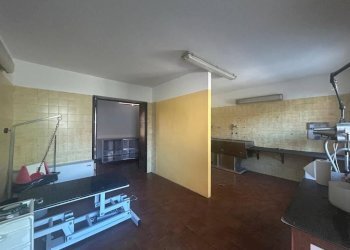Negozio strada Provinciale Mondovì-Villanova, Mondovì - foto 2