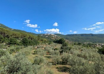 Apartment Contrada Grotte, Monteroduni - photo 16