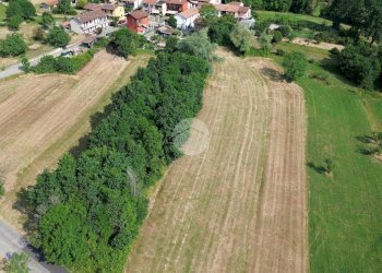 Terreno agricolo Boschivo Via Pragranero, Val della Torre - foto 5