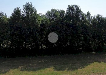 Terreno agricolo Boschivo Via Pragranero, Val della Torre - foto 9