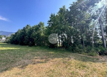 Terreno agricolo Boschivo Via Pragranero, Val della Torre - foto 13