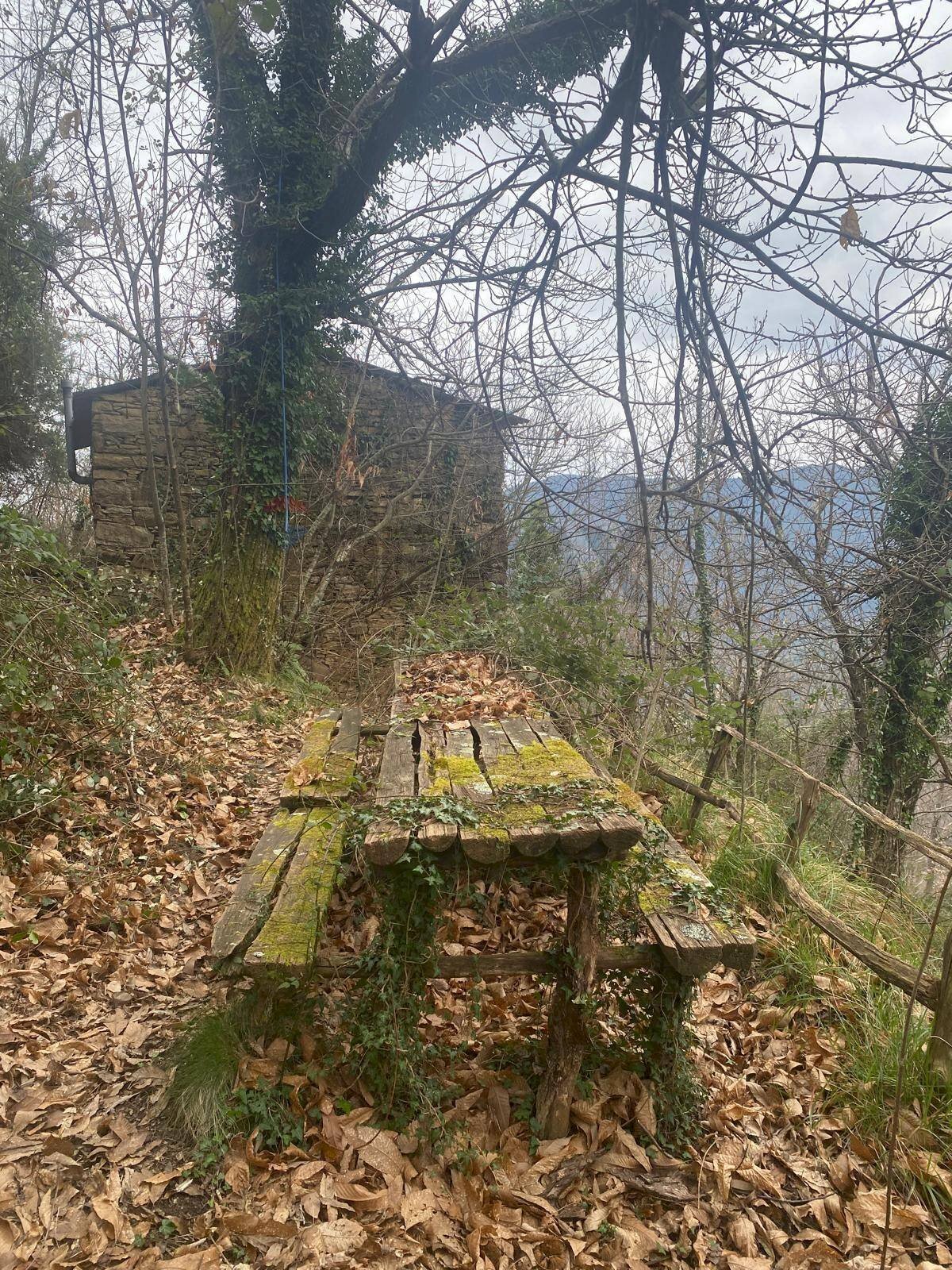 Rustic località Pezza, snc
Vescina, Avegno - photo 3