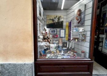 Attività Commerciale Pinerolo - foto 3