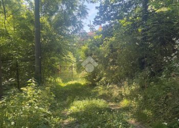 Rustico Via fontanino, San Raffaele Cimena - foto 2