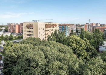Trilocale Cologno Monzese - foto 12