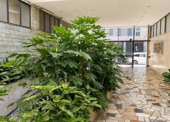 Foto 19 - Appartamento Via Ruggero Boscovich
 
14, Milano - foto 19