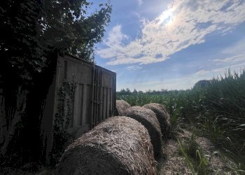 Foto 1 - Agricultural land Via perine, Villorba - photo 1