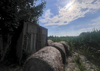 Foto 2 - Agricultural land Via perine, Villorba - photo 2
