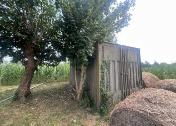 Foto 3 - Agricultural land Via perine, Villorba - photo 3