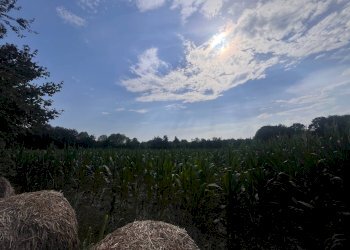 Foto 4 - Agricultural land Via perine, Villorba - photo 4