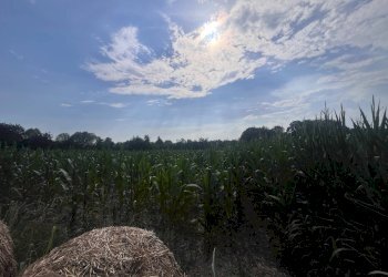 Foto 7 - Agricultural land Via perine, Villorba - photo 7