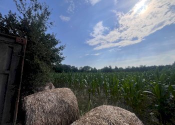Foto 10 - Agricultural land Via perine, Villorba - photo 10