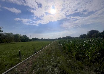 Foto 17 - Agricultural land Via perine, Villorba - photo 17